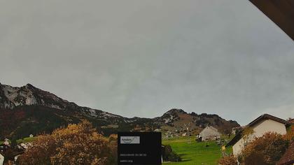 Amden › Norden: Mattstock