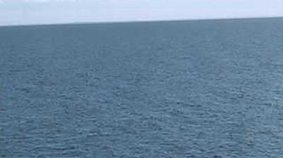 Sandringham Yacht Club Cam