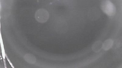 Erkenbrechtsweiler airport webcam