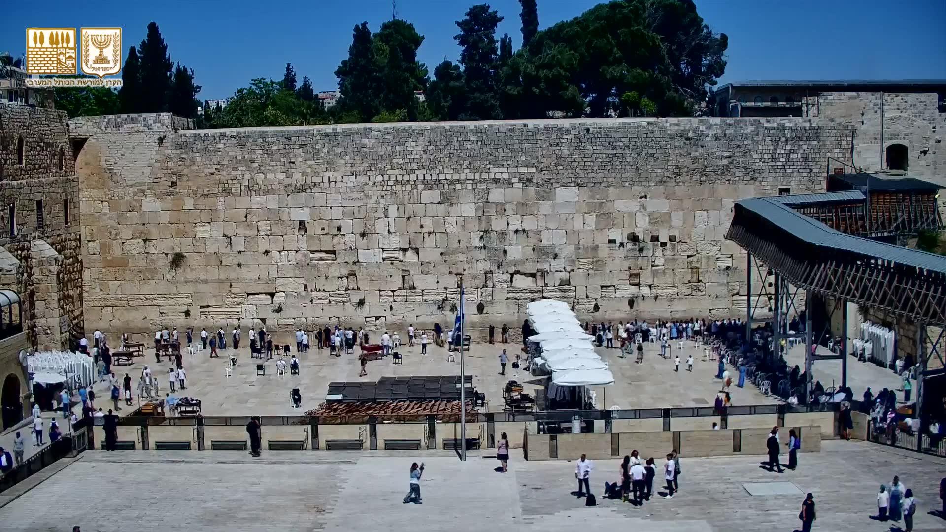 Click to enlarge