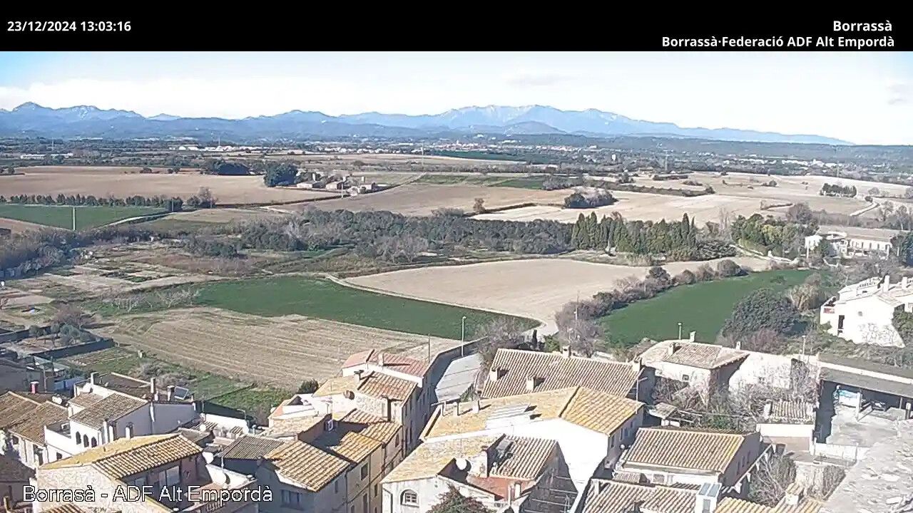 Traffic Cam Borrassa