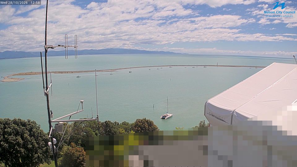 Nelson webcam
