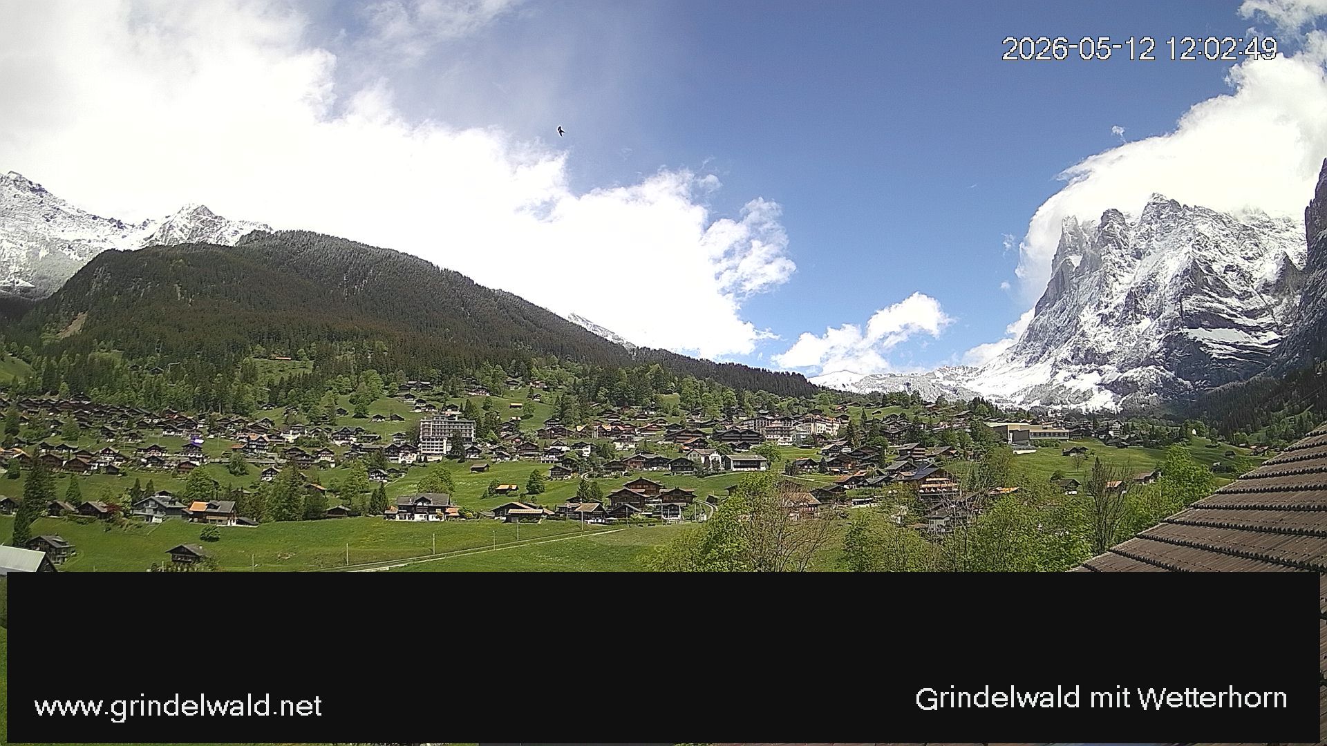 Grindelwald › Nordosten: Grindelwald - Dorf - Wetterhorn