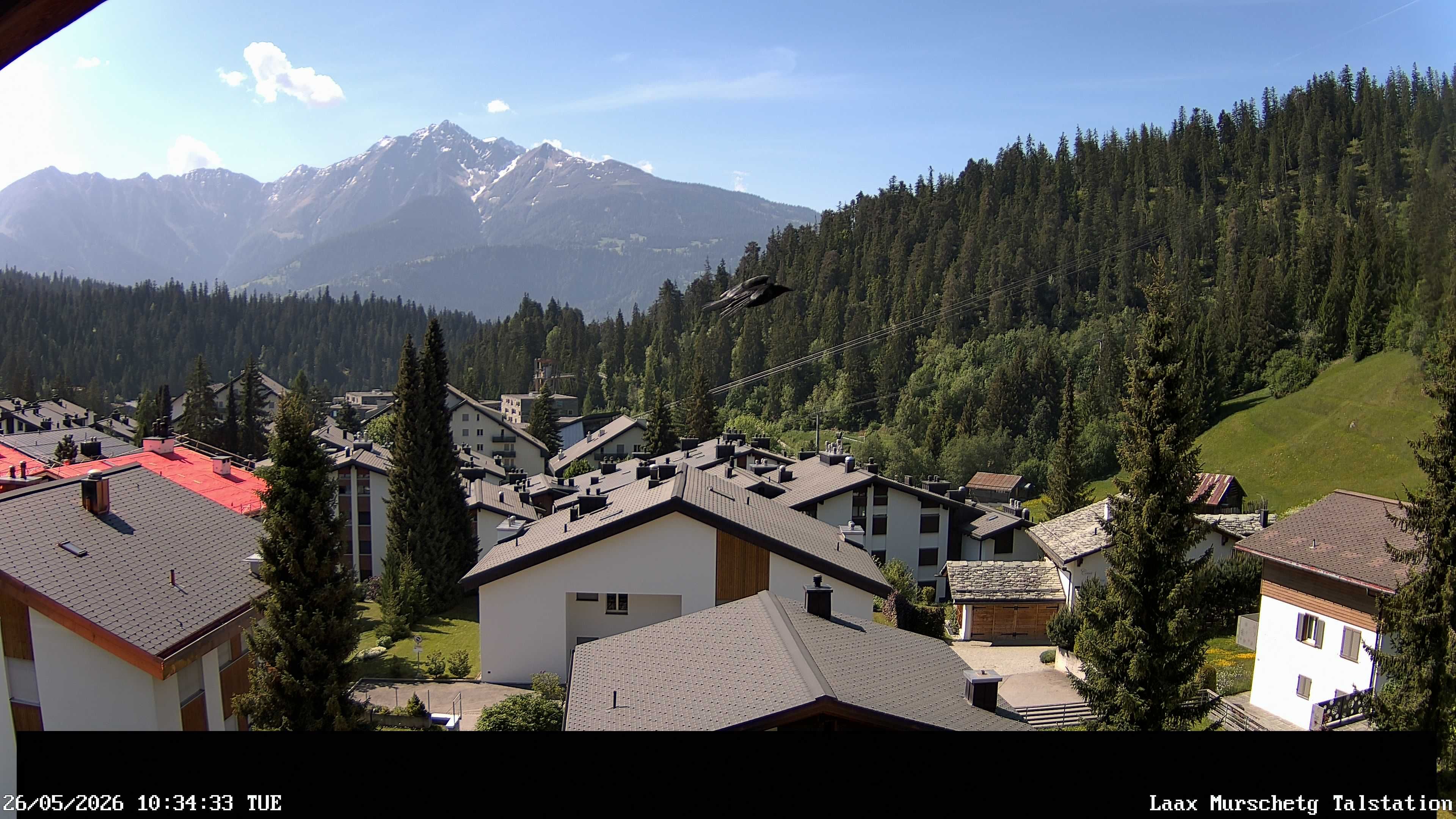 Laax: Murschetg
