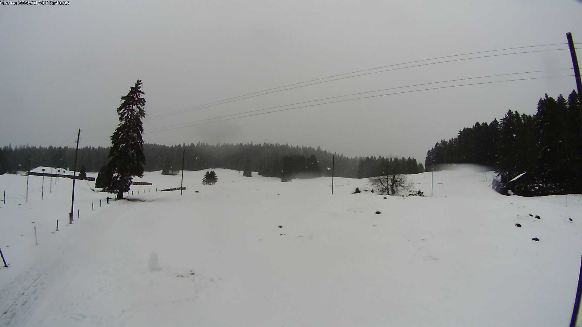 Saint-Cergue: La Trélasse - Col de la Givrine - Jura vaudois Natural Regional Park