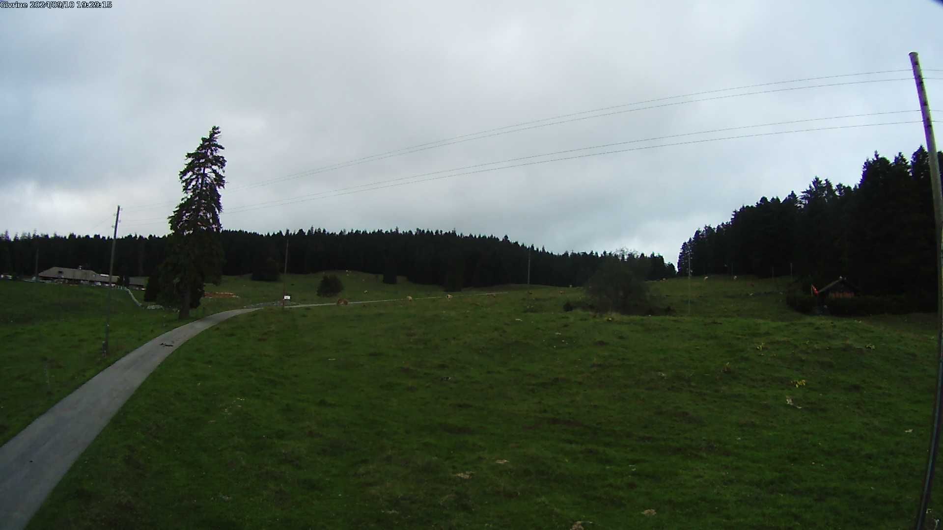 Saint-Cergue: La Trélasse - Col de la Givrine - Jura vaudois Natural Regional Park