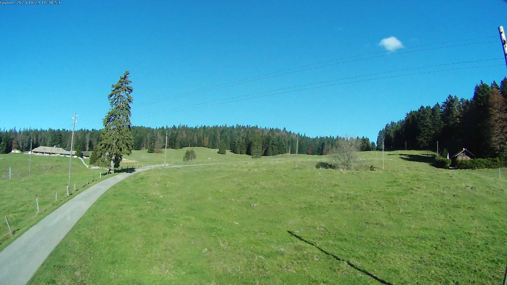 Saint-Cergue: La Trélasse - Col de la Givrine - Jura vaudois Natural Regional Park