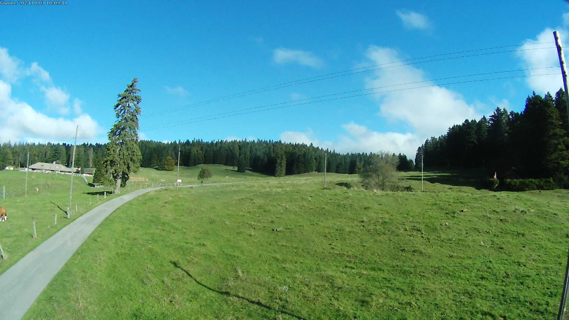 Saint-Cergue: La Trélasse - Col de la Givrine - Jura vaudois Natural Regional Park