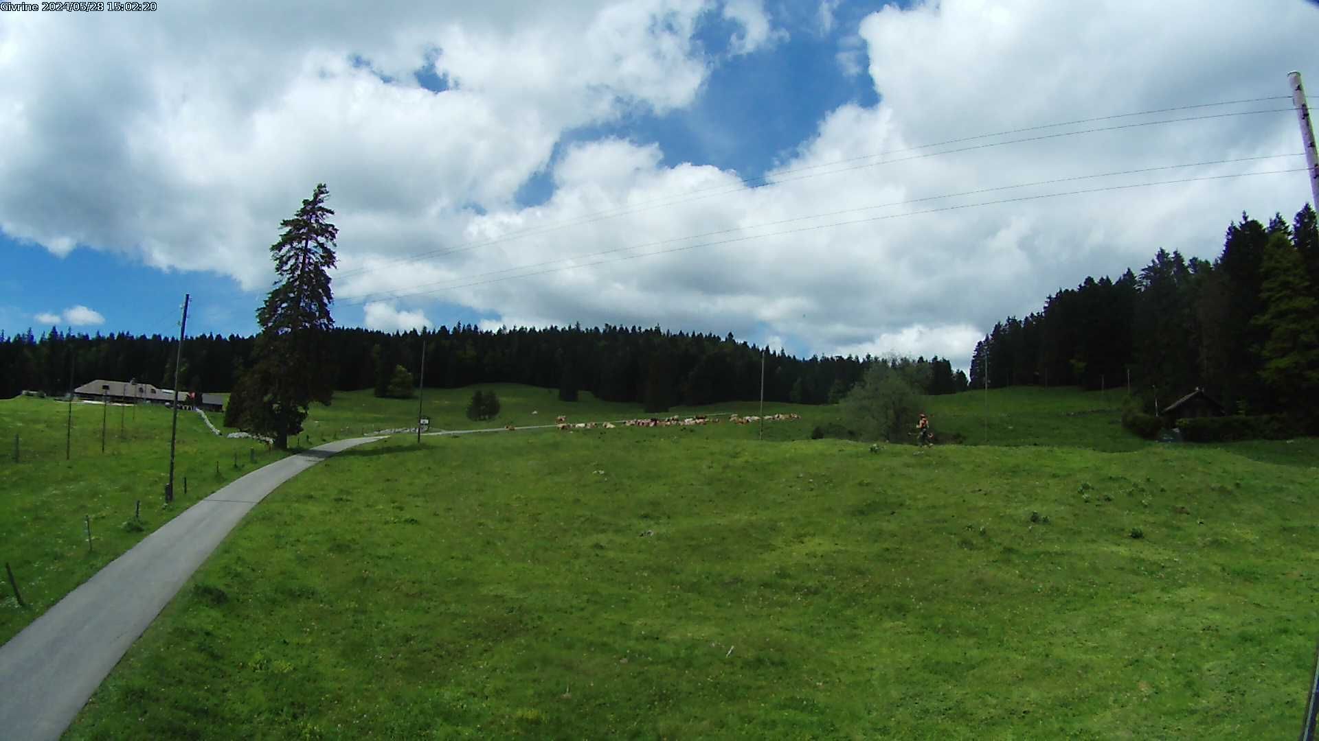 Saint-Cergue: La Trélasse - Col de la Givrine - Jura vaudois Natural Regional Park
