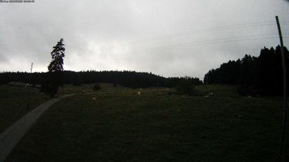 Saint-Cergue: La Trélasse - Col de la Givrine - Jura vaudois Natural Regional Park