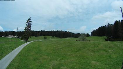 Saint-Cergue: Col de la Givrine - La Trélasse - Jura vaudois Natural Regional Park