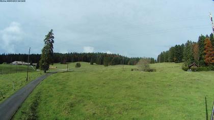 Saint-Cergue: La Trélasse - Col de la Givrine - Jura vaudois Natural Regional Park