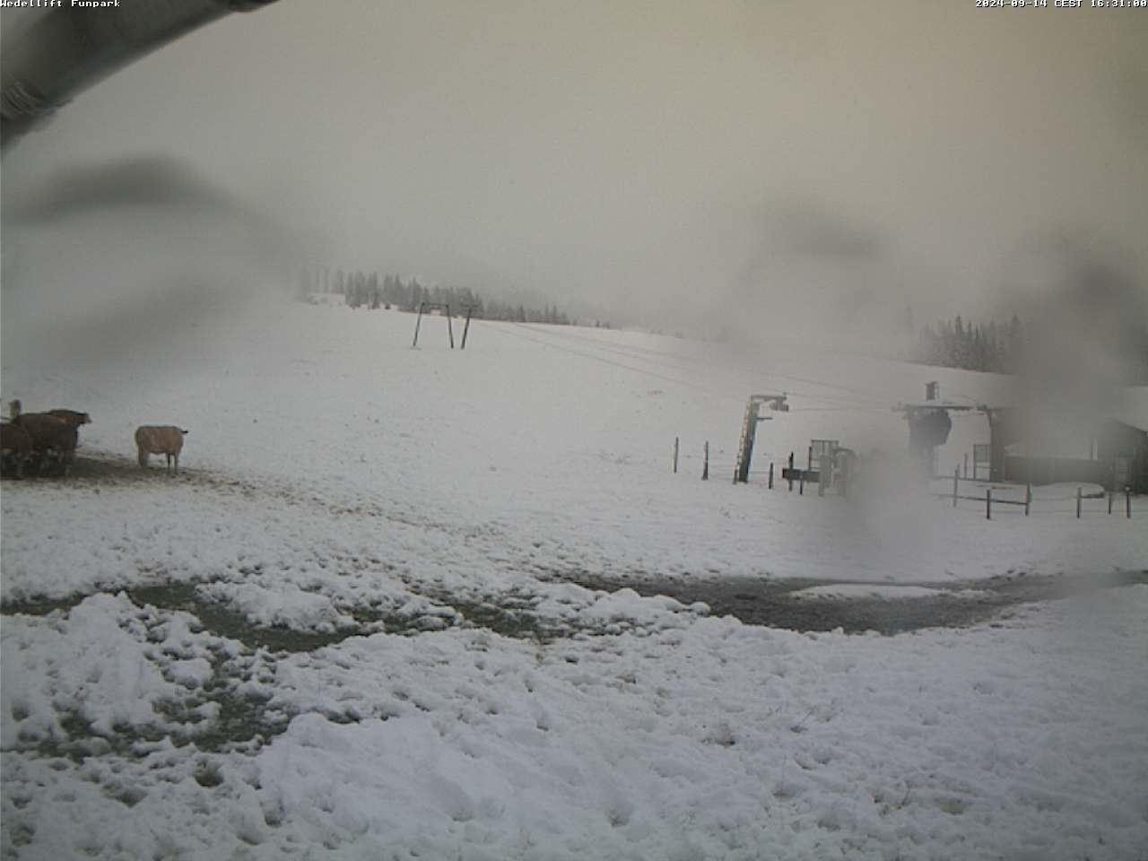 Traffic Cam Bayrischzell: Wedellifte