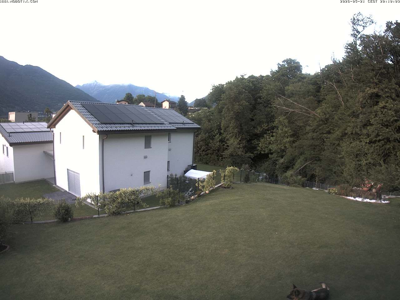 Sant'Antonino: S. Antonino
