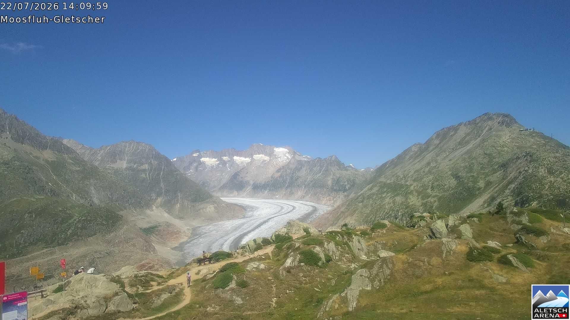 Riederalp › Nordosten: Viewpoint Moosfluh - Bettmerhorn - Eggishorn - Gross Wannenhorn