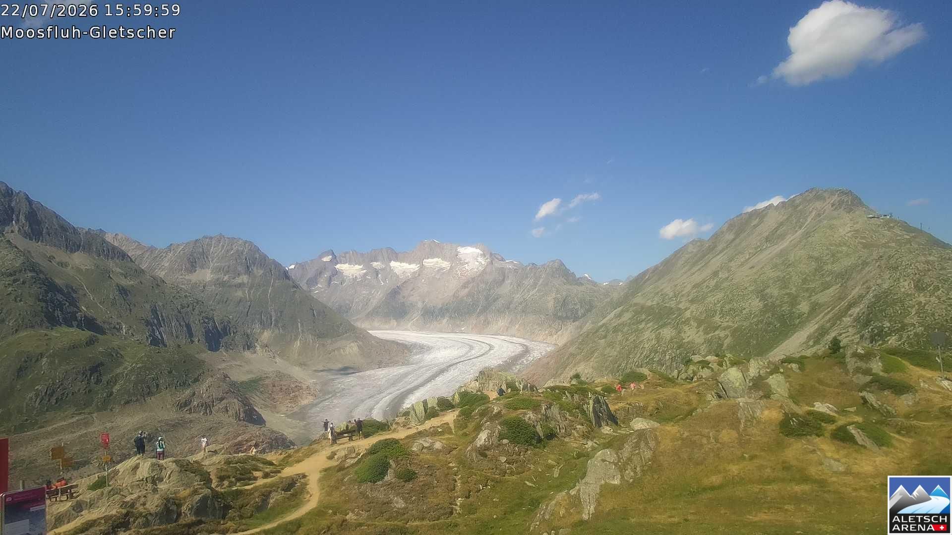 Riederalp › Nordosten: Viewpoint Moosfluh - Bettmerhorn - Eggishorn - Gross Wannenhorn