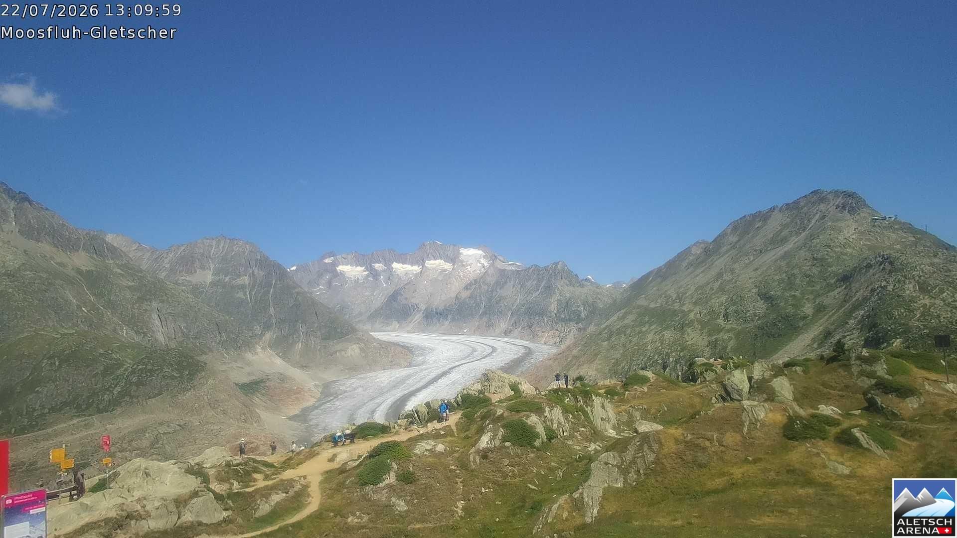 Riederalp › Nordosten: Viewpoint Moosfluh - Bettmerhorn - Eggishorn - Gross Wannenhorn