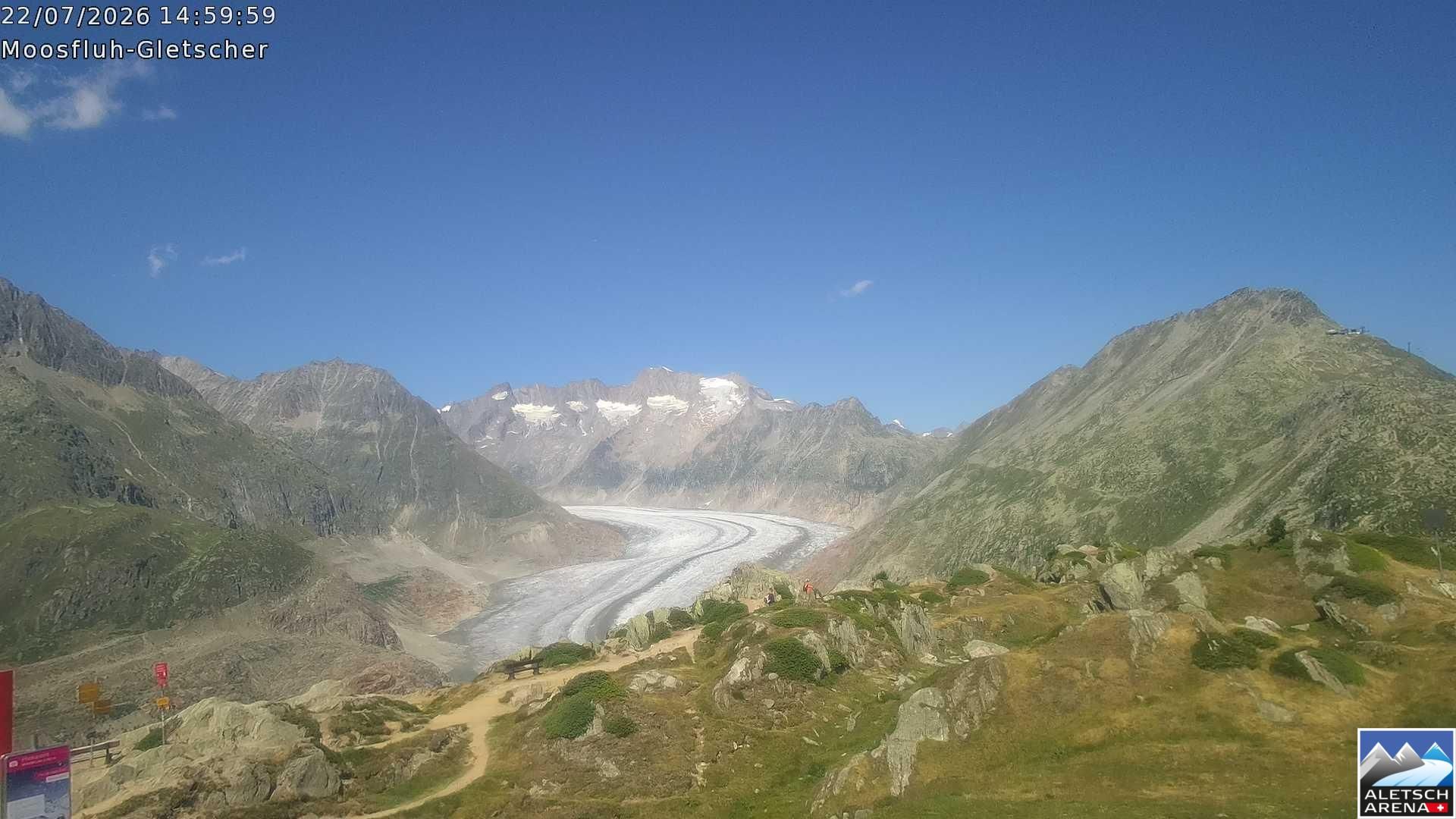 Riederalp › Nordosten: Viewpoint Moosfluh - Bettmerhorn - Eggishorn - Gross Wannenhorn