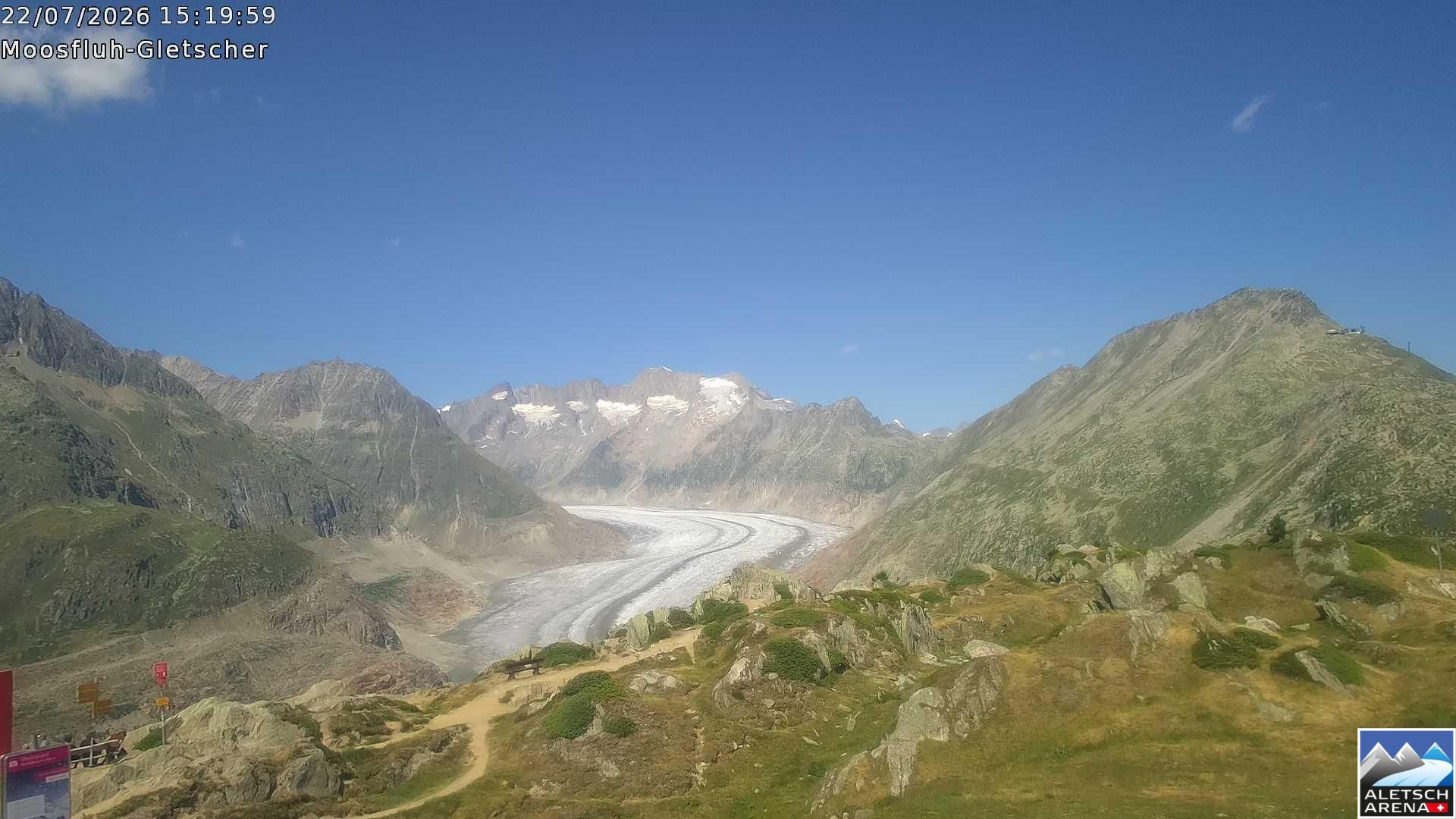 Riederalp › Nordosten: Viewpoint Moosfluh - Bettmerhorn - Eggishorn - Gross Wannenhorn