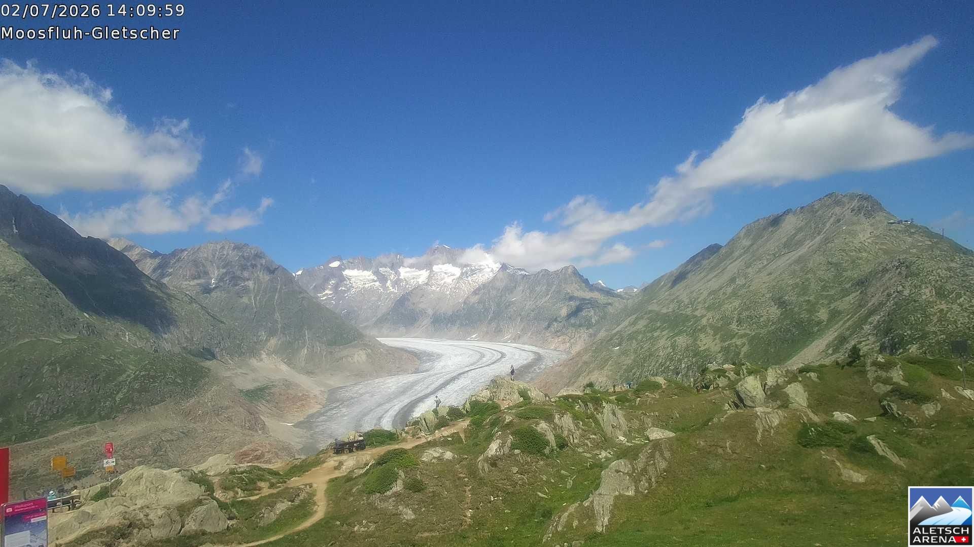 Riederalp › Nordosten: Viewpoint Moosfluh - Bettmerhorn - Eggishorn - Gross Wannenhorn