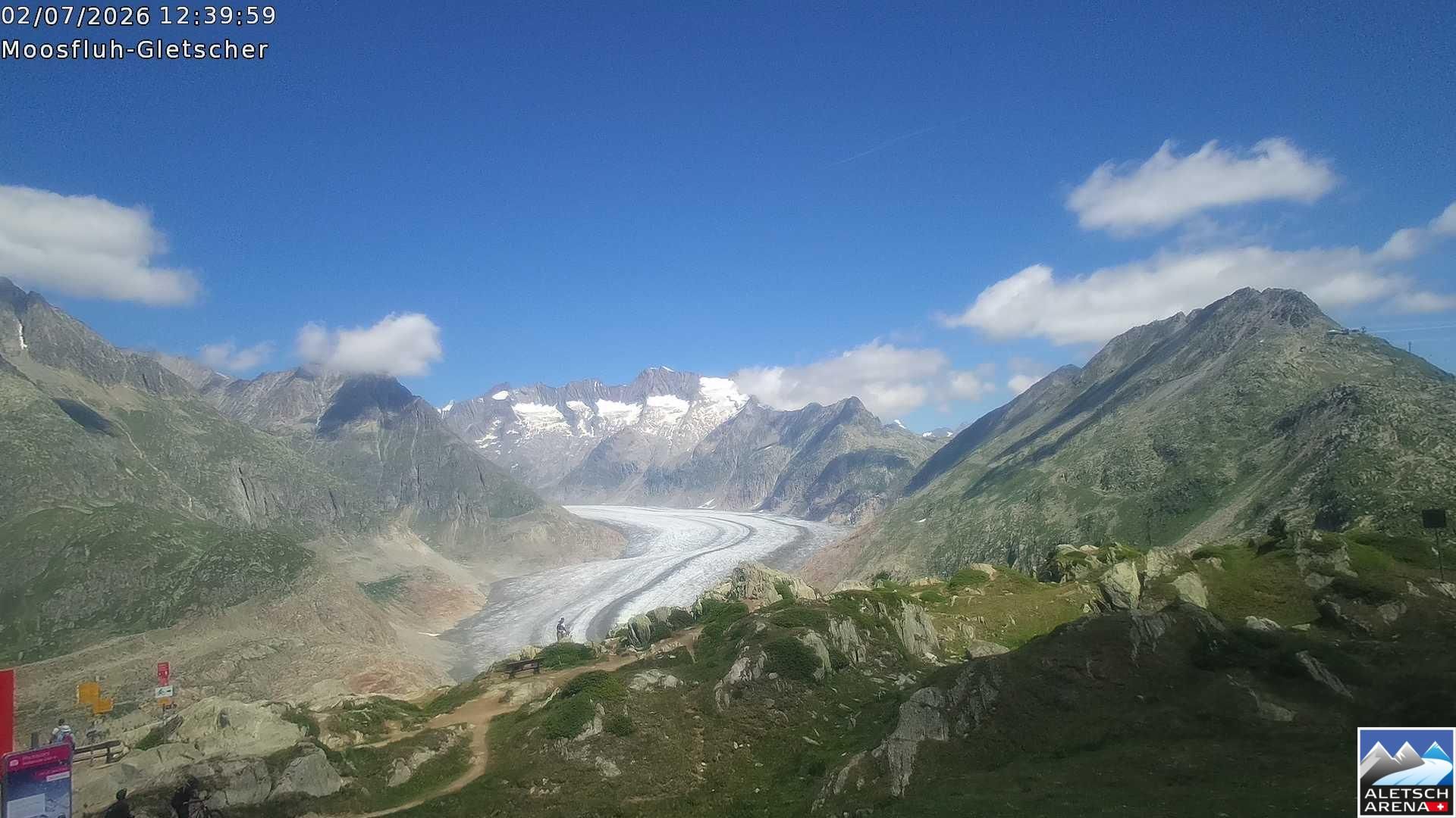 Riederalp › Nordosten: Viewpoint Moosfluh - Bettmerhorn - Eggishorn - Gross Wannenhorn