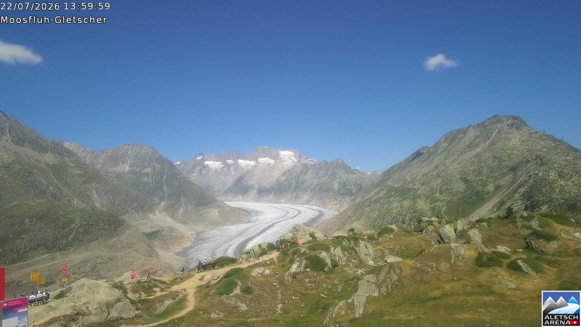 Riederalp › Nordosten: Viewpoint Moosfluh - Bettmerhorn - Eggishorn - Gross Wannenhorn