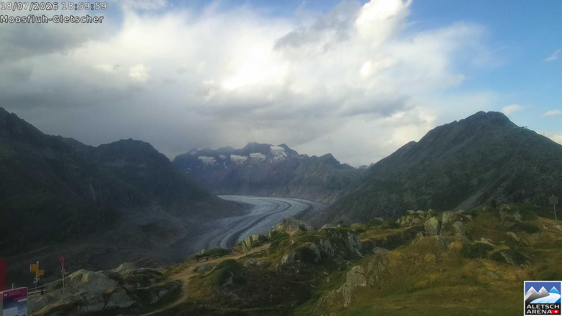 Riederalp › Nordosten: Viewpoint Moosfluh - Bettmerhorn - Eggishorn - Gross Wannenhorn
