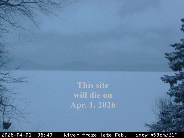 Traffic Cam Dalhousie › North: Restigouche River