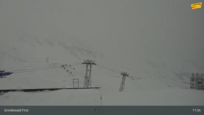 Grindelwald: First