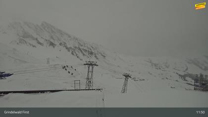 Grindelwald: First