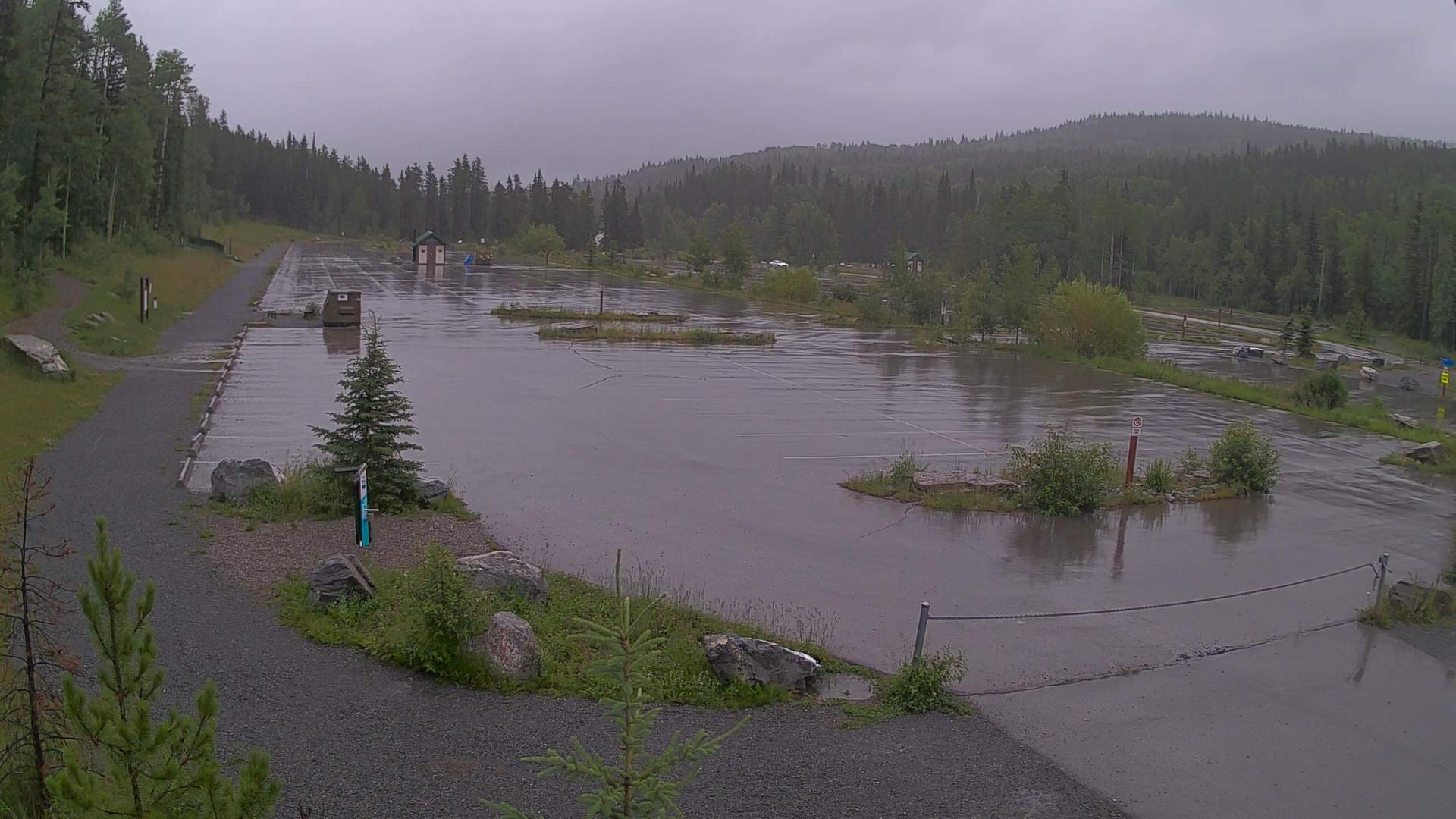 Bragg Creek forest Webcam
