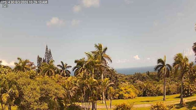 Maui during daytime