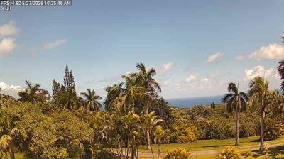 Maui today