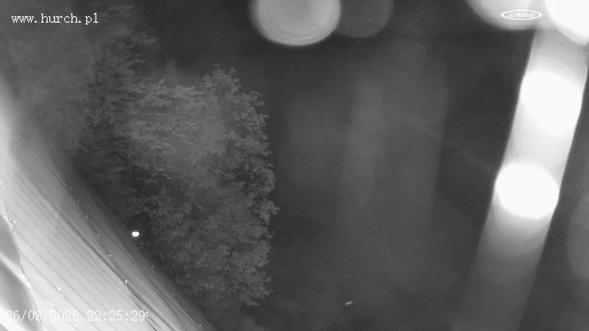 Traffic Cam Zwierzyn