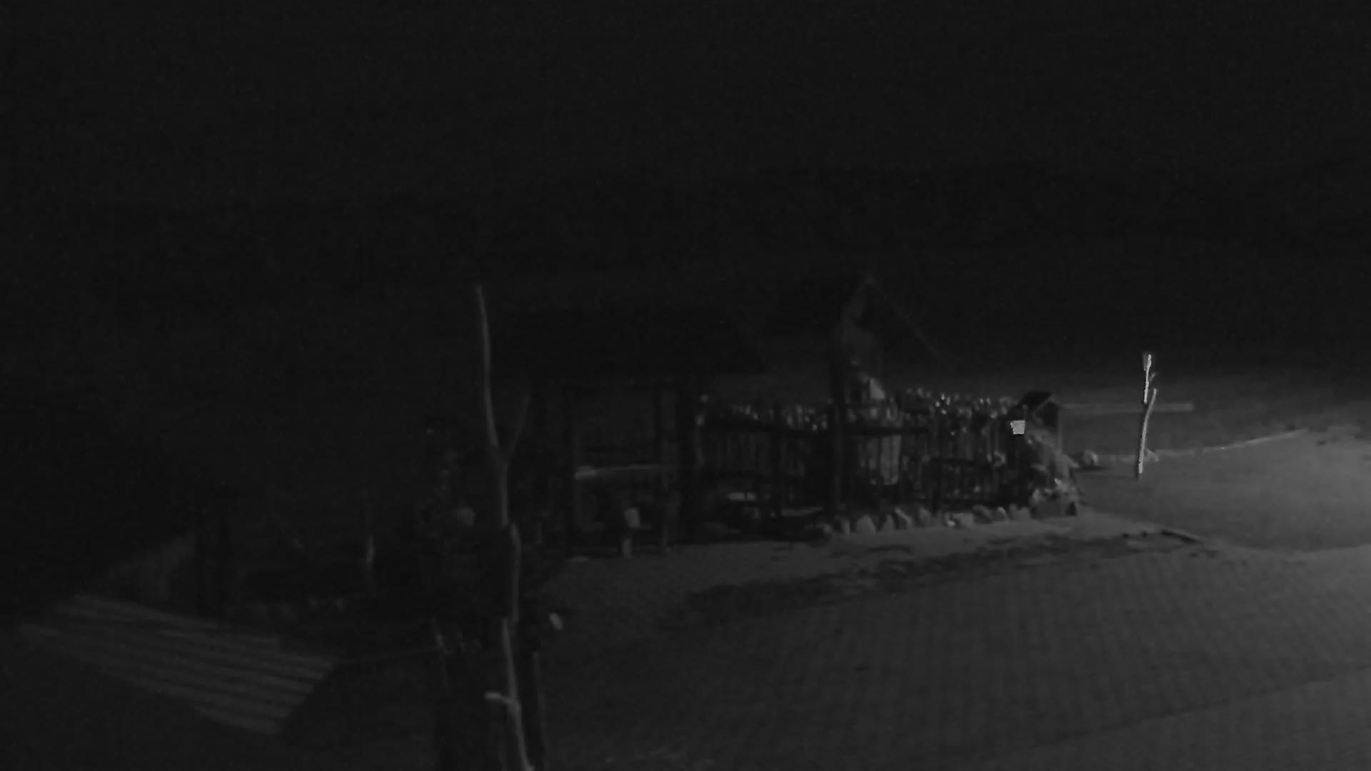 Traffic Cam Zasova › North