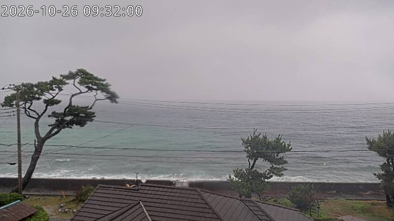 Shimoda-shi during daytime