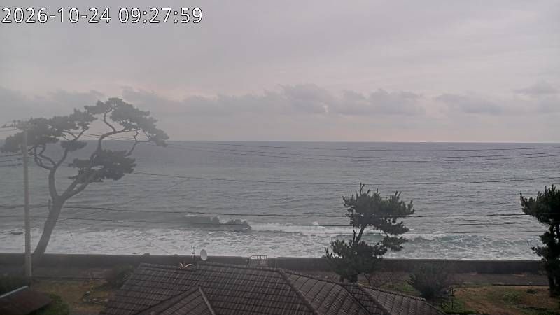 Shimoda webcam