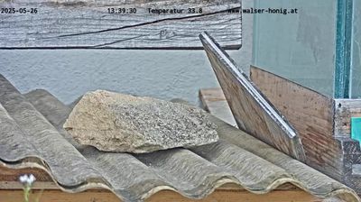 Gemeinde Mittelberg: Panorama Kleinwalsertal