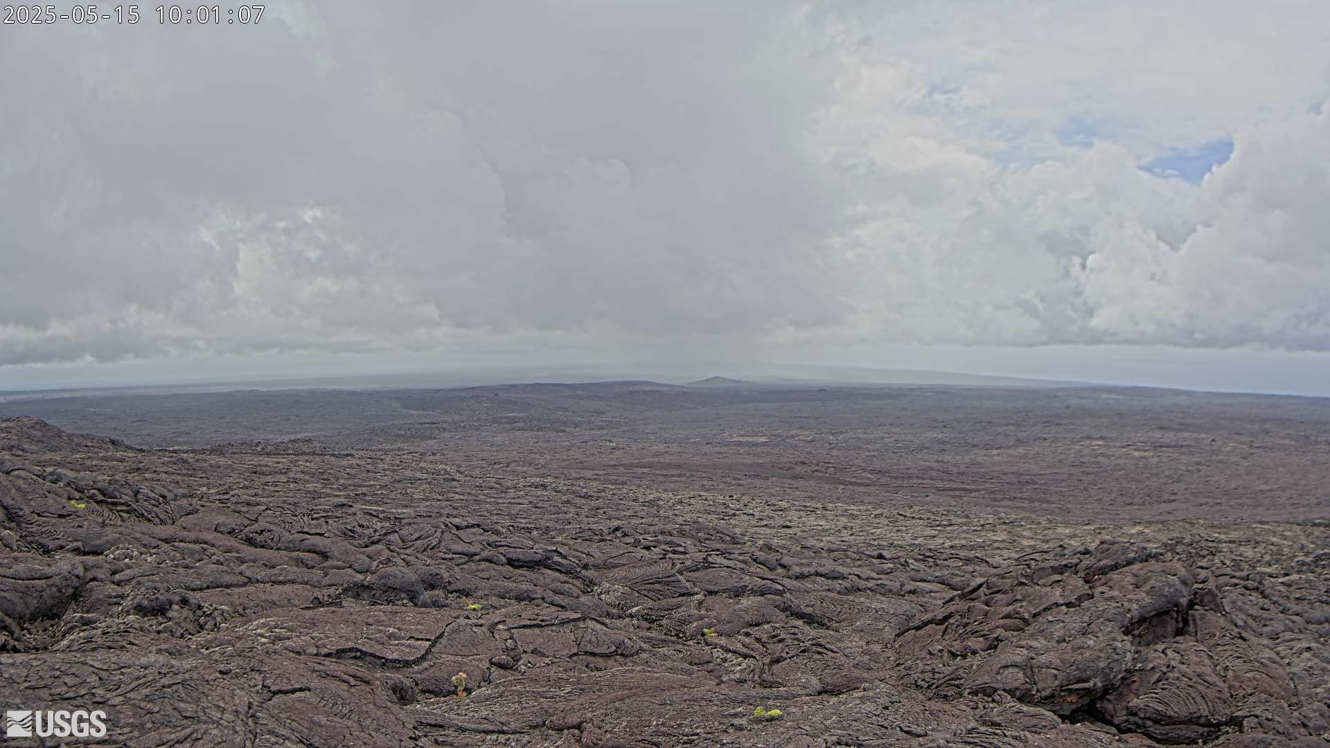 Traffic Cam Fern Forest CDP: Kīlauea volcano, east rift zone