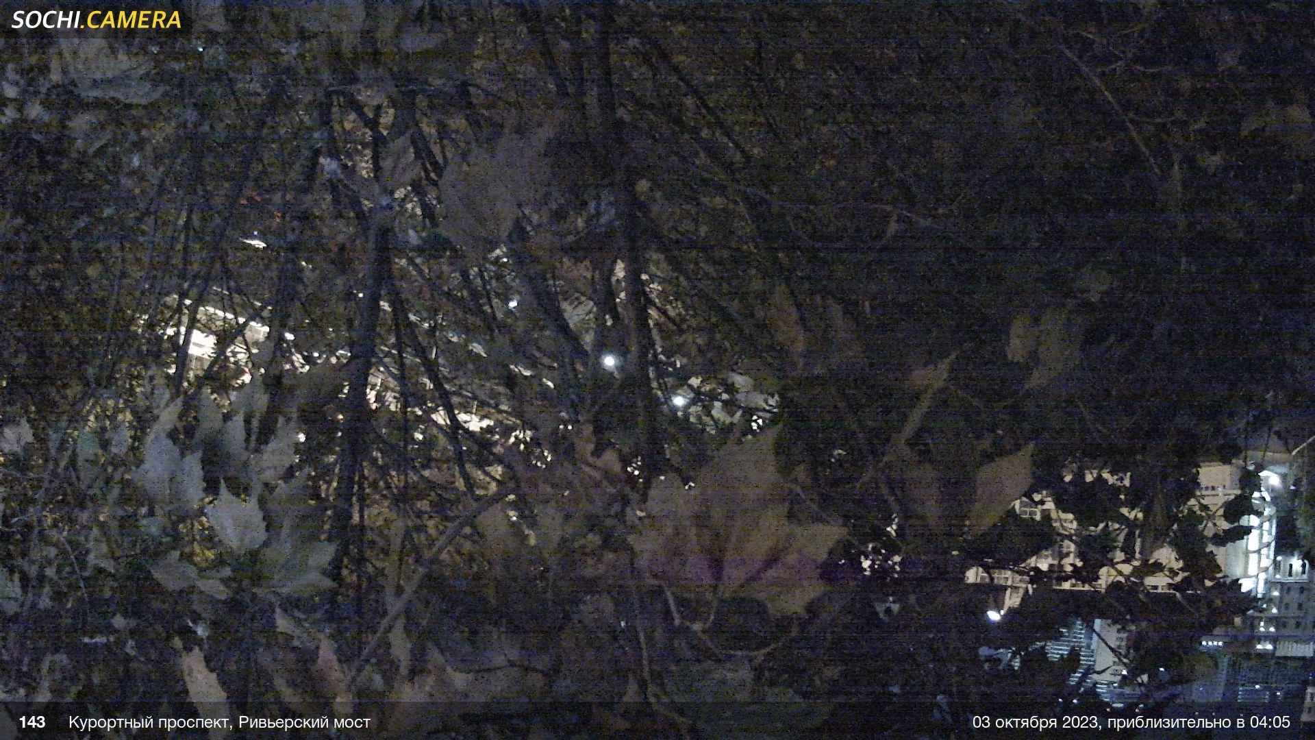 Traffic Cam Sochi: Ривьерский мост г. Сочи 2