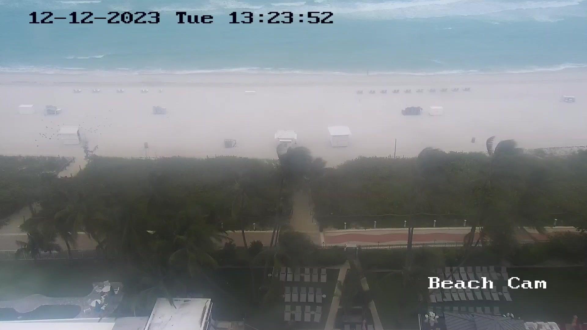 Traffic Cam Miami Beach: Stati Uniti