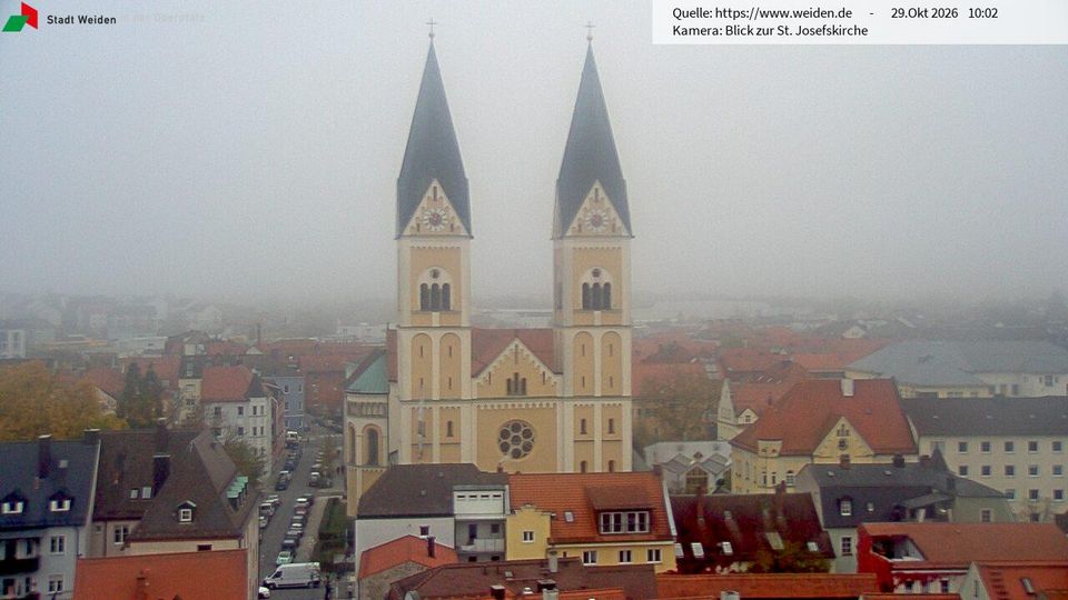 Weiden during daytime