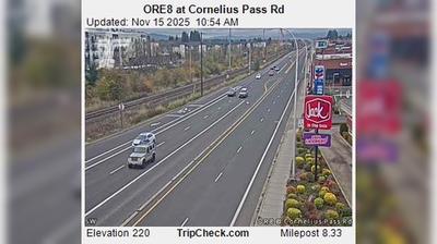 Homework help hillsboro oregon evergreen brookwood 02 image