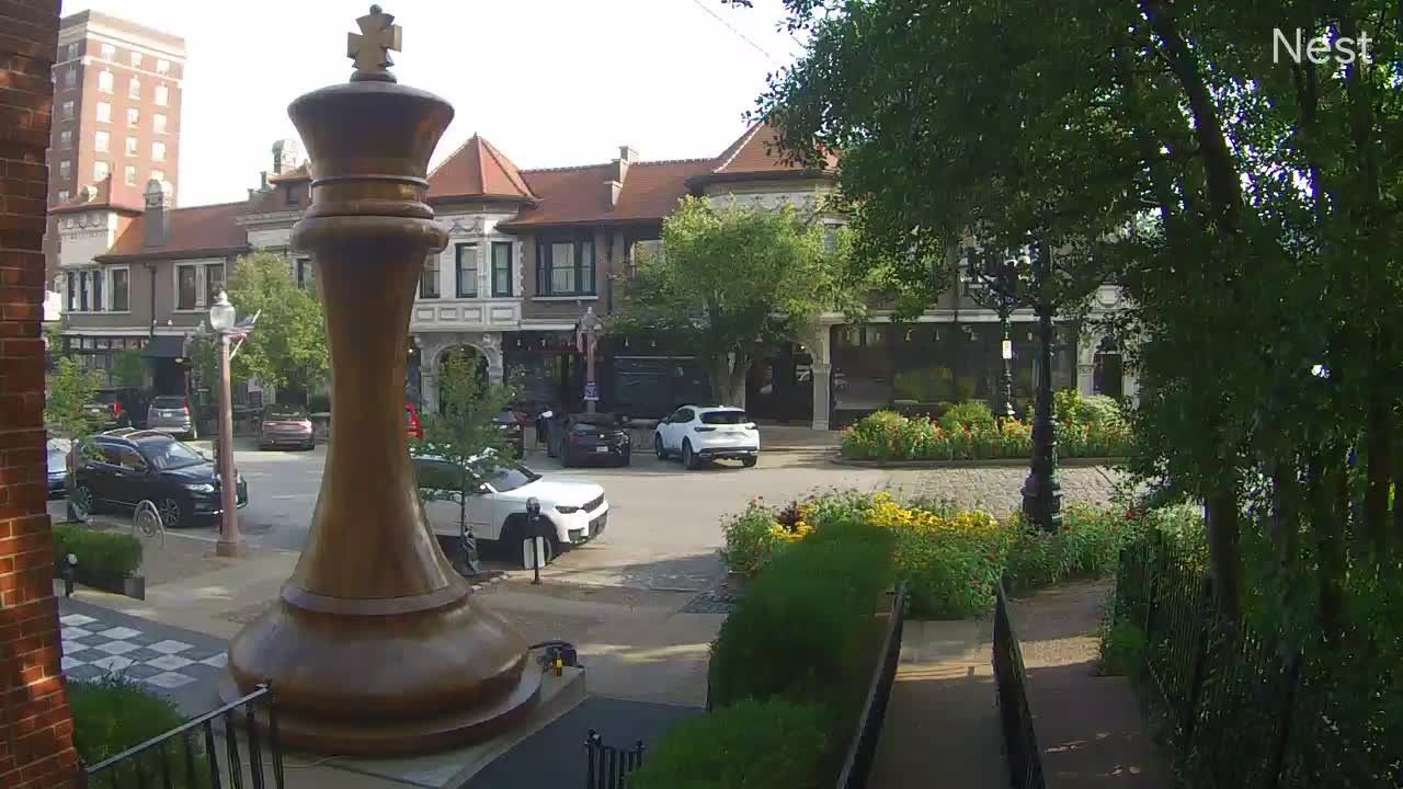 St. Louis during daytime