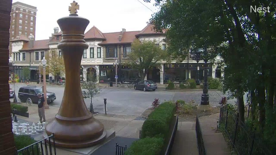 St. Louis during daytime