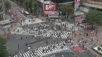 Shibuya: Shibuya Scramble Square - Day time