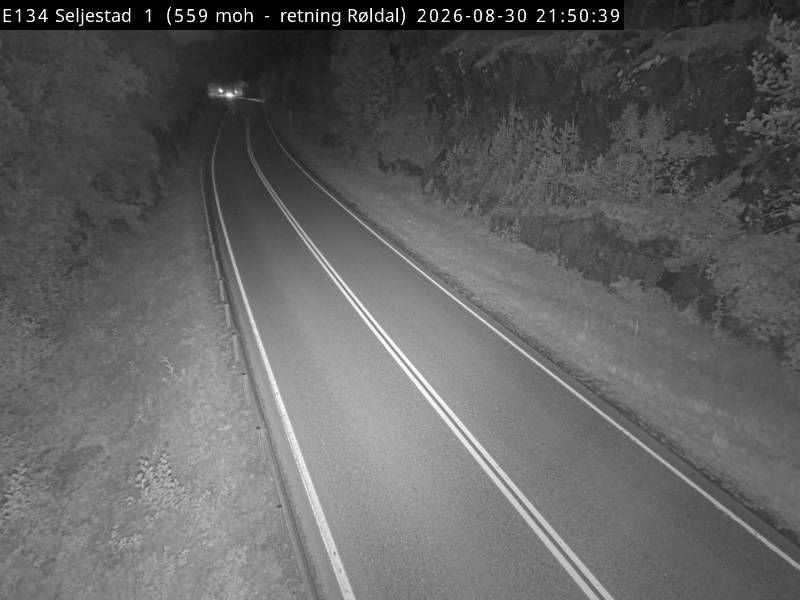 Traffic Cam Seljestad: E134 - Røldal