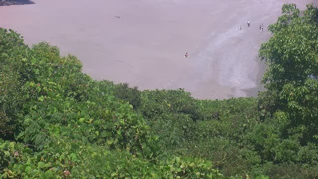 Kochi during daytime
