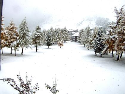Riederalp