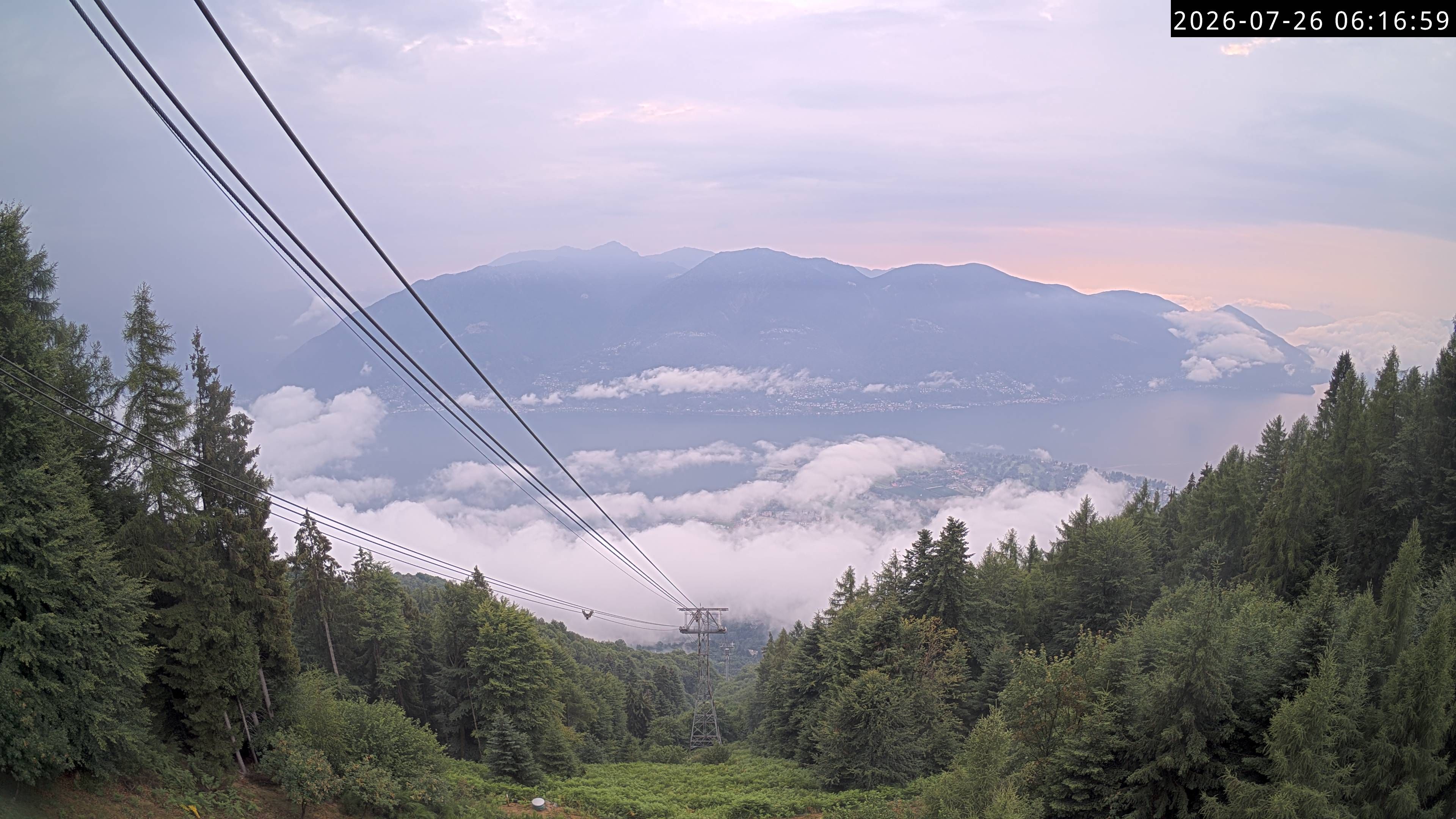 Locarno › Süden: Ascona - Parco delle Camelie - Langensee